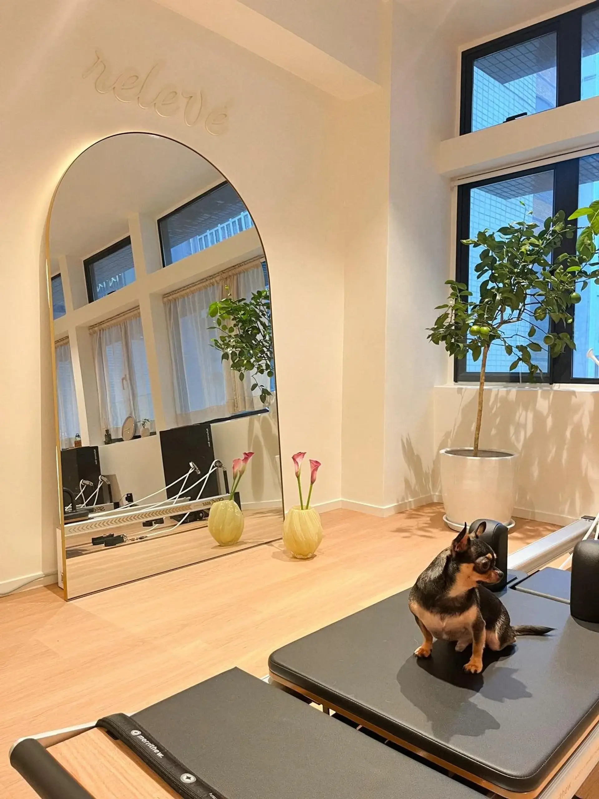 About Relevé Pilates Studio Sheung Wan - Welcoming Hong Kong studio with friendly atmosphere and reformer equipment